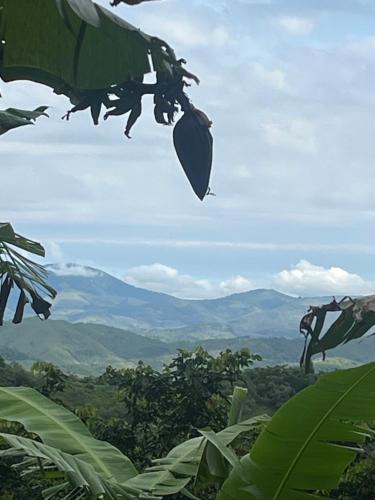 Rio Bonito Ski Chalet | Sítio com água mineral, rio e cachoeira