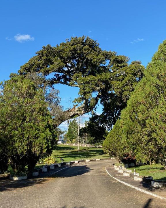 Igrejinha House | Sítio das Figueiras