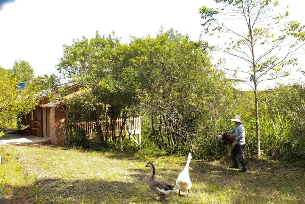 Campo Alegre House | Sítio e Pousada Paulo Lampert