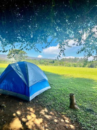 Delfinopolis Other | Sítio Irmãos Almeida e Camping Canastra