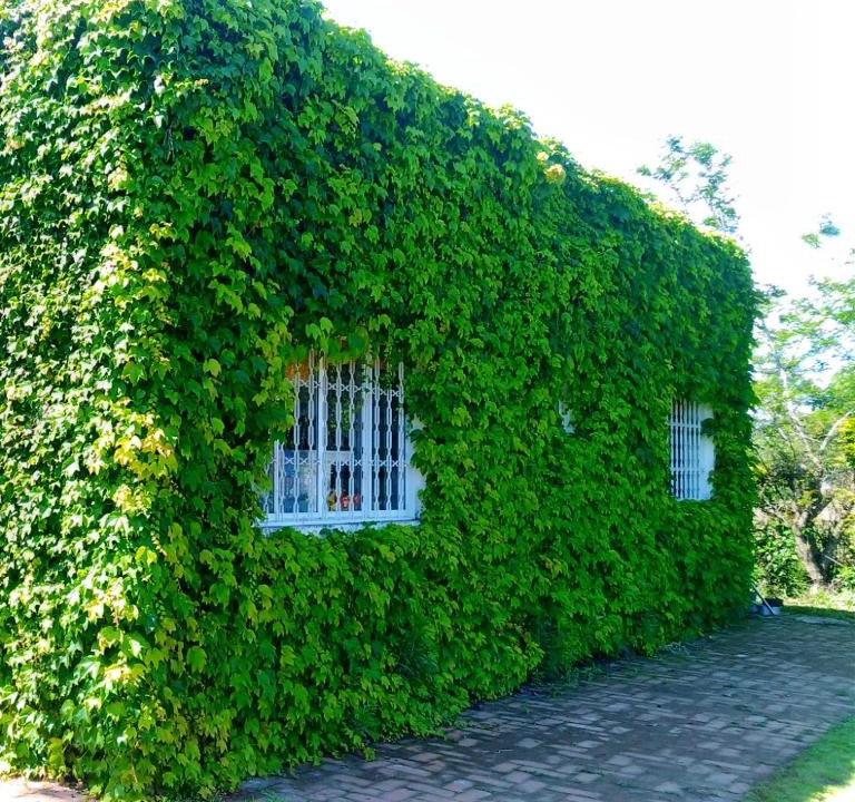 Sapiranga House | Sítio Sapiranga
