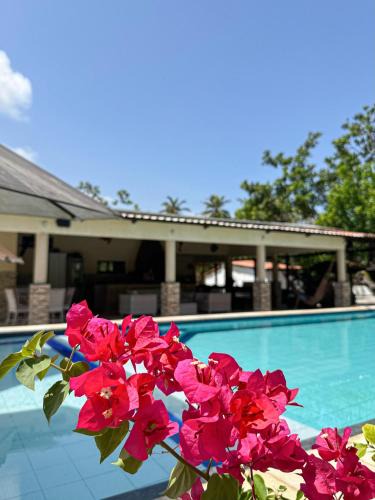 Sucatinga House | Sitio Doralice Barra da Sucatinga Praia