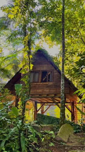 Itamambuca Bed & Breakfast | Sitio Simple Life