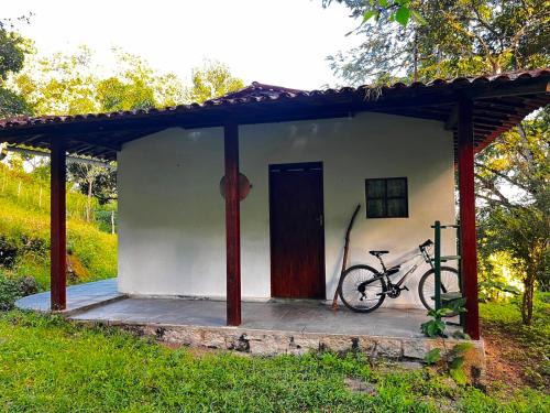 Bonito Other | Sitio Viração