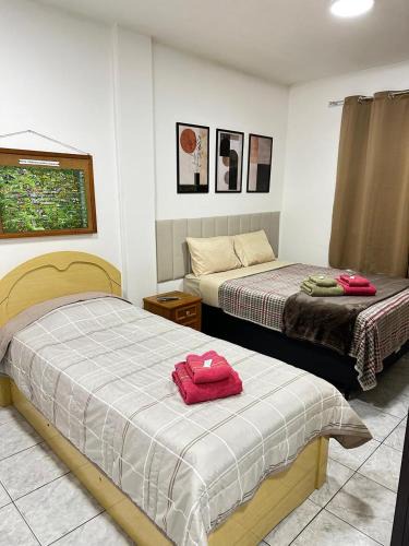 Nova Friburgo Apartment | Suíte Central