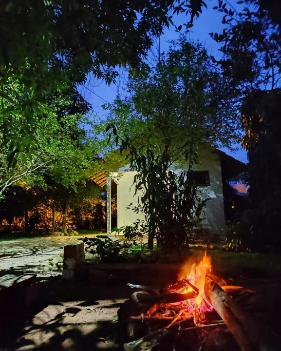 Cuiaba House | Suíte da Floresta