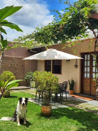 Cascatinha House | Suíte Parque Barigui