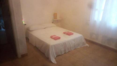 Manguinhos House | Tubarao