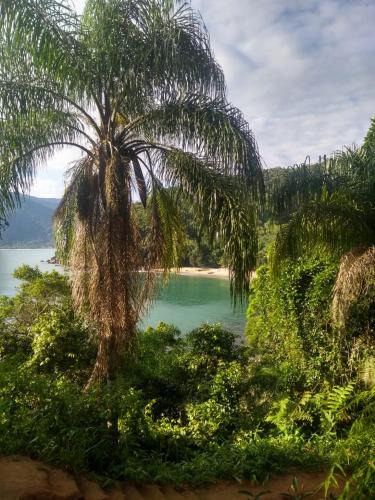 Jardim Marisol Hostel | Ubatuba Surf Hostel, apenas a 60 metros da praia da Lagoinha!