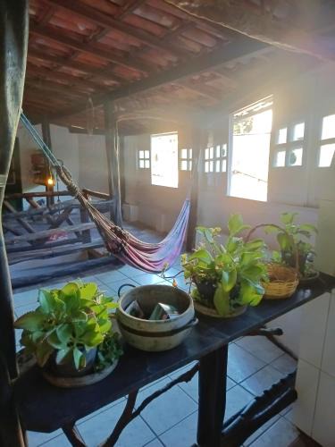 Lencois House | Velho Testamento