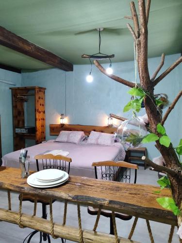 Cambara do Sul Hotel | Vila Ecológica Cambará