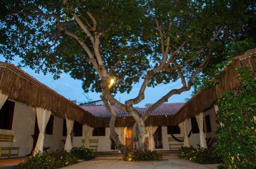 Jijoca de Jericoacoara Apartment | Vila Lua Aparts - Apartamento 3