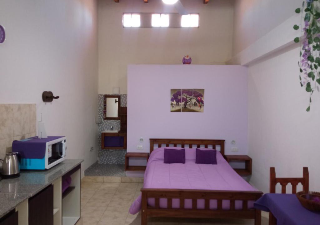 Salta House | Violeta Monoambiente hasta 2 personas