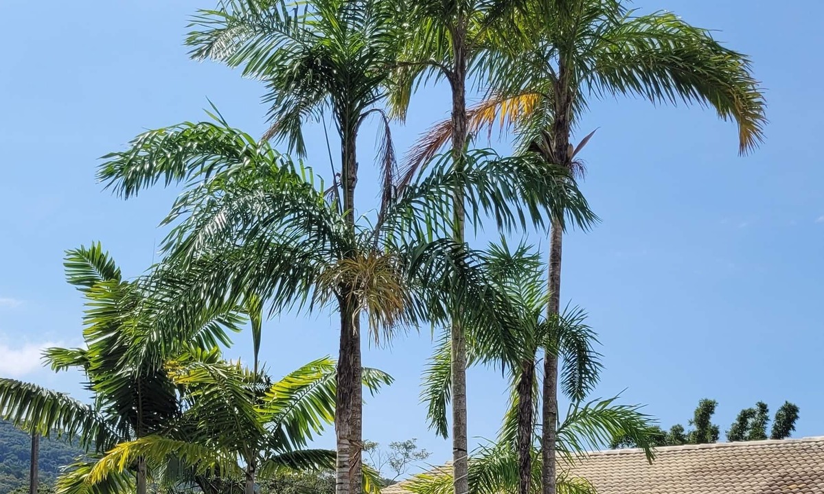 Sertao do Trombudo House | Your beach vacation home.