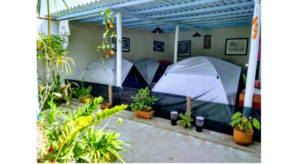 Jabaquara Other | Ypê Branco Camping Conforto