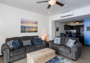 The Palms 703