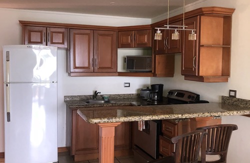 Playa Flamingo Condo | 1BR Oceanview Apartment Flamingo Marina Resort