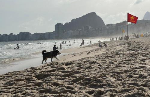 Copacabana Hostel | 3 min da Praia de Copacabana - Apartamento compartilhado AV