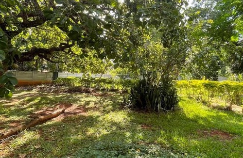 Lagoa Santa Cabin | A Casa da lua