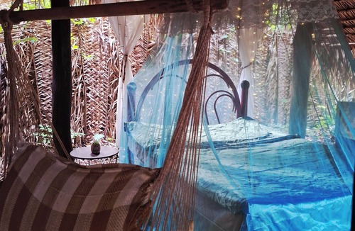 Alter do Chao Cabin | A tortoise's house in an Enchanted Forest. Reconnect