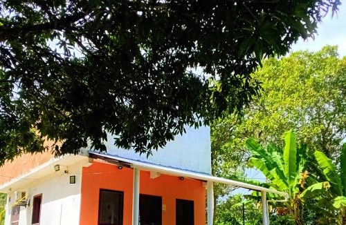 Santo Amaro House | Abelha & Peixe Boi