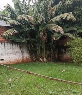 Foz do Iguacu House | Aconchego I