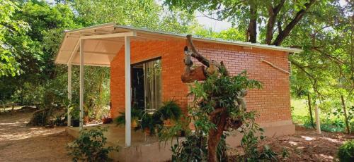 Loreto House | Alojamiento Mariana y Ocho Kunu u