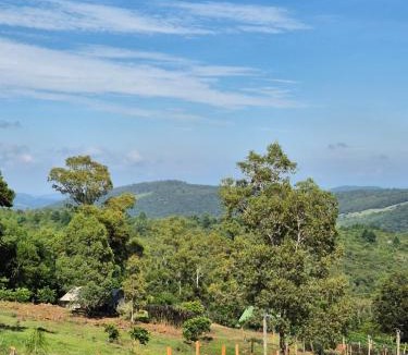 Caraa House | Alto da colina Caraá RS