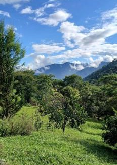Santa Luisa de Baixo Cabin | Alto de Santa Barbara