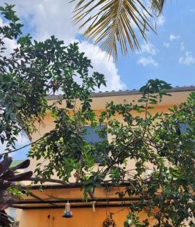 Padre Eustaquio House | Alure 1