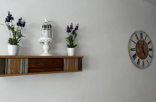 Bahia Blanca Apartment | Alvarado Apart