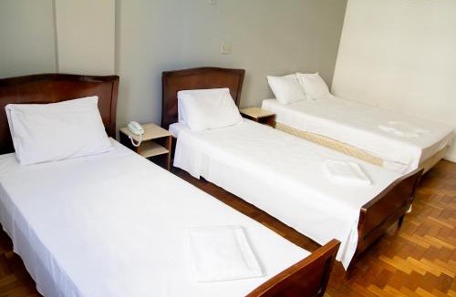 Centro Hotel | Amazonas Palace Hotel Belo Horizonte - Avenida Amazonas