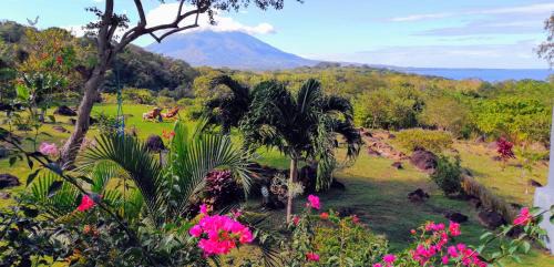 Balgue House | Ananda Guesthouse