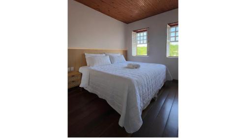 Davidopolis Hotel | Antolina Hotel