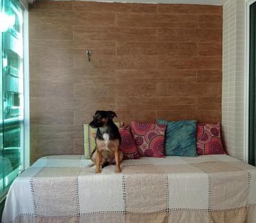 Jardim Flamboyant Apartment | APARTAMENTO 2 QUARTOS CABO FRIO PRAIA DO FORTE
