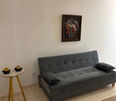 Zona Sul Apartment | Apartamento Aconchegante!