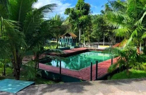 Tenone Apartment | Apartamento amazônico COP30