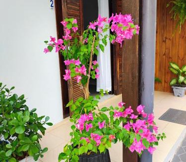 Canasvieiras Apartment | Apartamento Canasvieiras