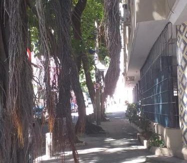 Laranjeiras Apartment | Apartamento em Laranjeiras