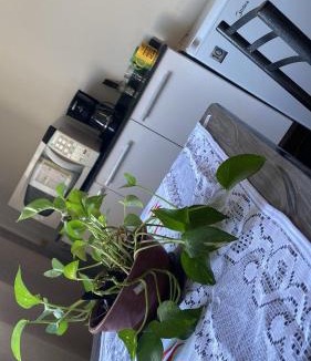 Guaratingueta Apartment | Apartamento no centro de Guaratinguetá