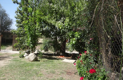 Cafayate Apartment | Apartment with swimming pool, rural area, mountain view, only 1 km from downtown