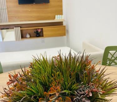 Canaa dos Carajas Apartment | Apartmento 3 Minutos do Centro de Canaã