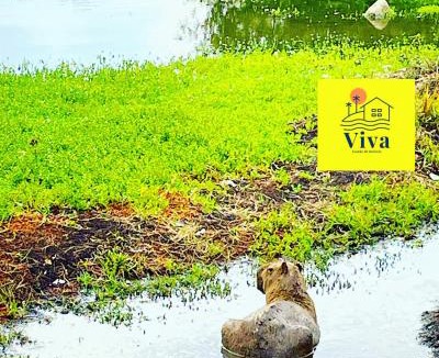 Novo Gravata Apartment | Apto GRAVATÁ ASA BRANCA D12 04