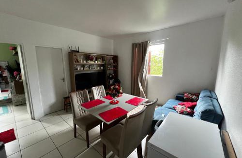 Jiboia Branca Apartment | Apto mobiliado Belém Cop 30