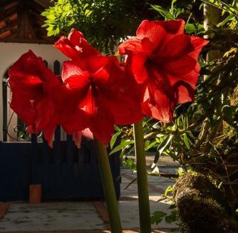 Natividade da Serra Villa | Ateliê Residência - Imersão Artística - Studio Residency - artistic Immersion