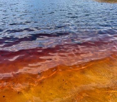Baia Formosa Apartment | AuraMar - Suíte