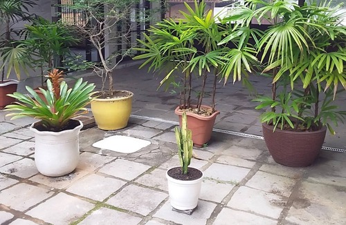 Manguinhos Apartment | Búzios – Geribá - Suite 13 – Economic Rent