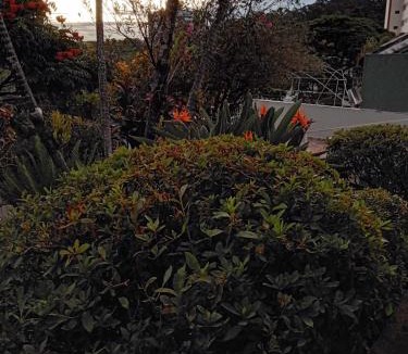 Aguas de Lindoia House | Bangalô - quarto Saxofone