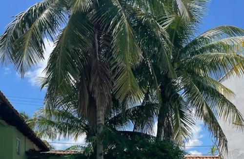 Saquarema Bed & Breakfast | Beach bed and breakfast