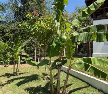 Sao Miguel de Touros Villa | Beach Front Exclusive Villa with Pool